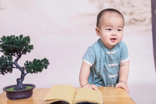 衡阳可爱的企鹅宝宝